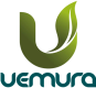 Grupo Uemura