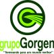 Grupo Gorgen